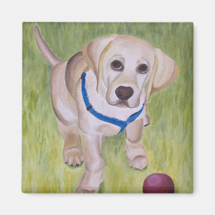Play With Me. Yellow Labrador Retriever Magnent Magnet