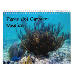 Playa del Carmen, Mexico Calendar