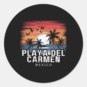 Playa Del Carmen Mexico Surfing Surfer Classic Round Sticker