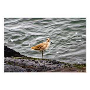 Playa Del Rey Photo Print