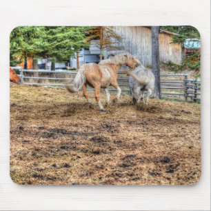 Playfighting Palomino & White Ranch Horse Mouse Pad