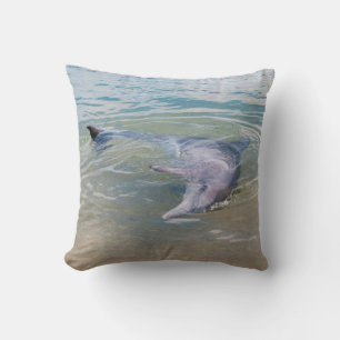 Playful and curious dolphin cushion