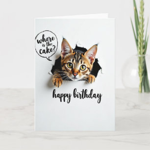 Playful Birthday Curious Cat Card