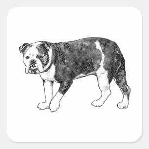 Playful Bulldog Dot, Cartoon Sticker