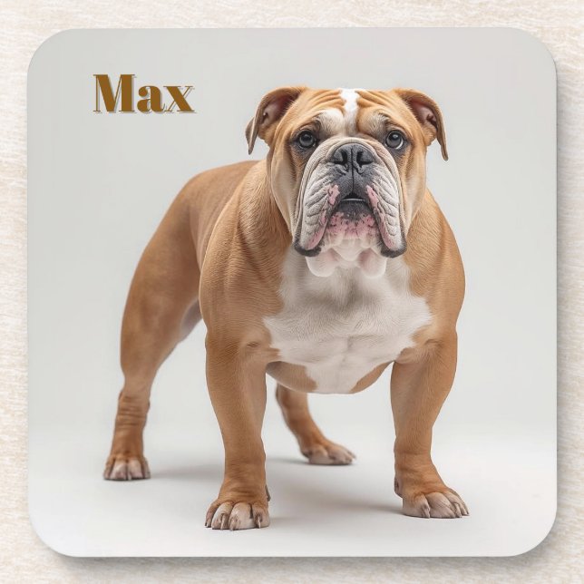 Playful Bulldog Personalised Beverage Coaster Set (Front)