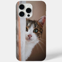 Playful Cat Luka Chuppi Phone Case