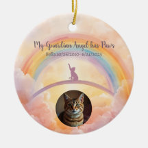 Playful Cat Memorial Rainbow Bridge