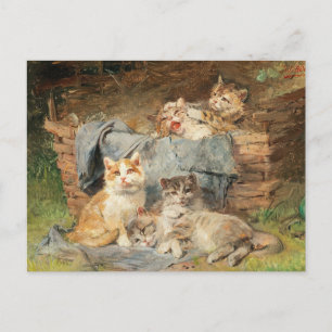 Playful Cats Julius Adam the Younger Postcard
