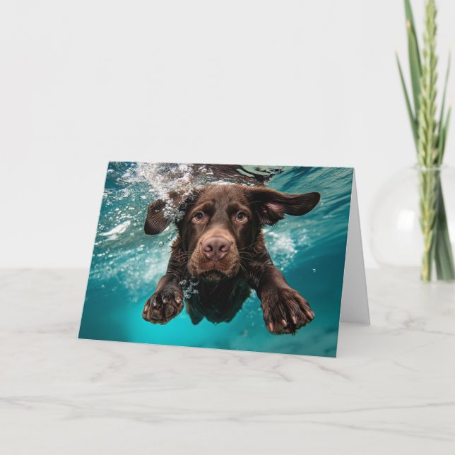 Playful Chocolate Labrador Swimming Underwater Card (Front)