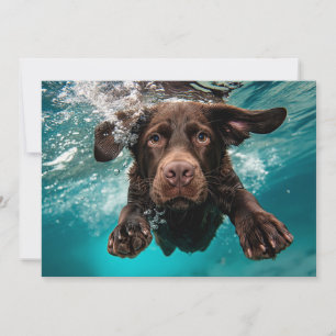 Playful Chocolate Labrador Swimming Underwater Card