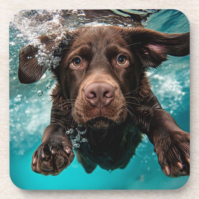 Playful Chocolate Labrador Swimming Underwater Coaster (Front)