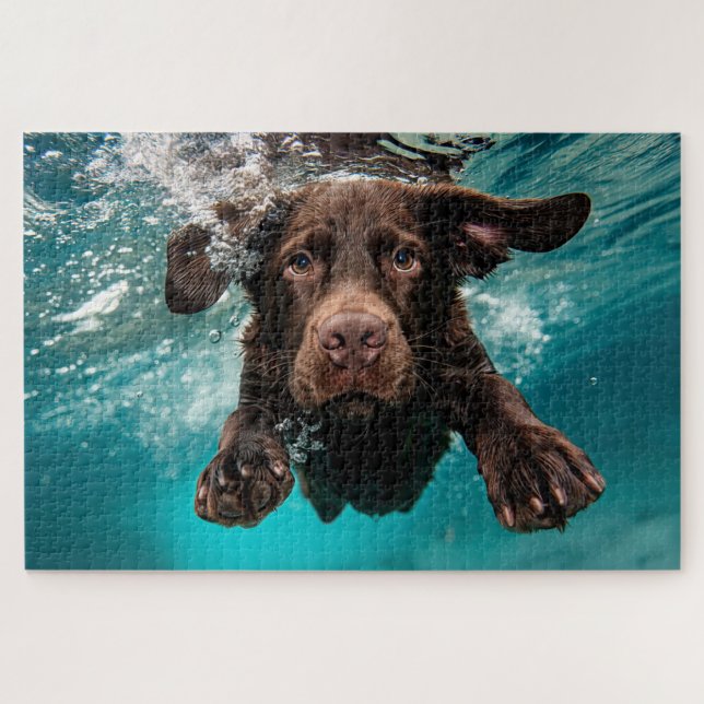 Playful Chocolate Labrador Swimming Underwater Jigsaw Puzzle (Horizontal)