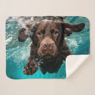 Playful Chocolate Labrador Swimming Underwater Sherpa Blanket