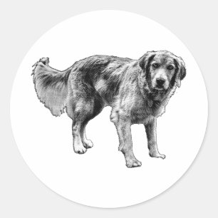 Playful Comic Dog Sticker