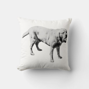 Playful Companion Cushion