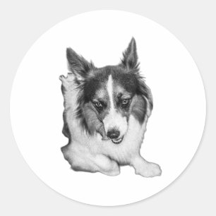 Playful Corgi Face Classic Round Sticker