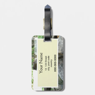 Playful, cute, smart and friendly baboons luggage tag