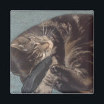 Playful Dave 5.1 Cm Square Magnet<br><div class="desc">Square magnets with Playful Dave on them</div>