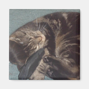 Playful Dave 5.1 Cm Square Magnet