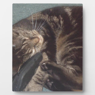 Playful Dave Plaque