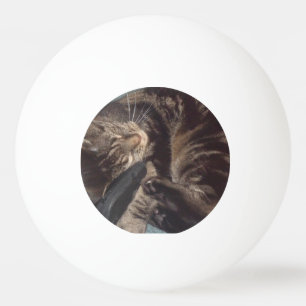 Playful Dave Three Star Ping Pong Ball