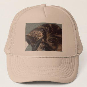 Playful Dave Trucker Hat