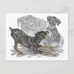 Playful Doberman Pinscher Puppies Postcard