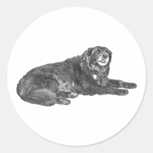 Playful Dog Sticker in Comic Dot Style