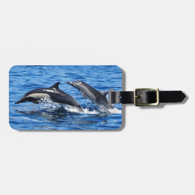 Playful Dolphins Luggage Tag (Front Horizontal)