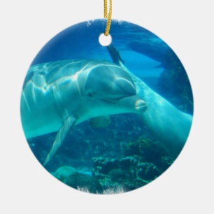 Playful Dolphins Ornaments