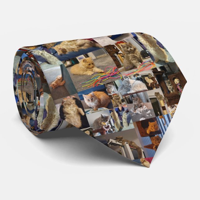 Playful Fluffy Kittens Photo Collage, Tie (Rolled)