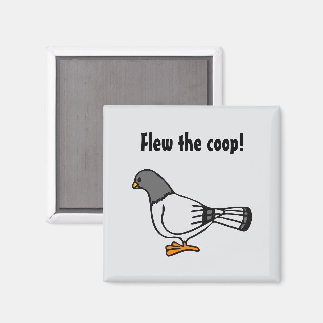 Playful Grey Pigeon Cartoon New Address Postcard  Magnet (Front/Back)
