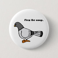 Playful Grey Pigeon Cartoon New Travels or Address