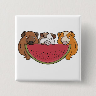 Playful Guinea Pigs and Watermelon Illustration 15 Cm Square Badge