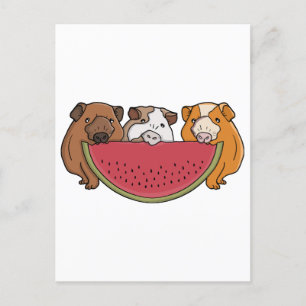 Playful Guinea Pigs and Watermelon Illustration Holiday Postcard
