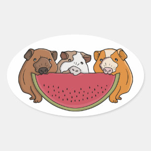 Playful Guinea Pigs and Watermelon Illustration Oval Sticker