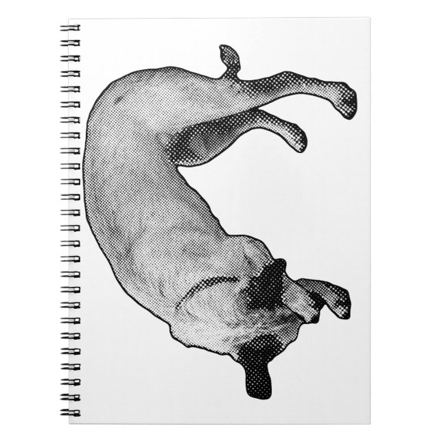 Playful Hush Notes Notebook (Front)