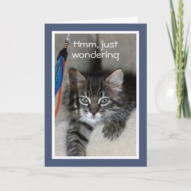 Playful Kitten Birthday Card (Front)
