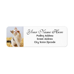 Playful Kitten Return Address Label
