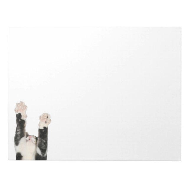Playful kitty cat notepad (Front)