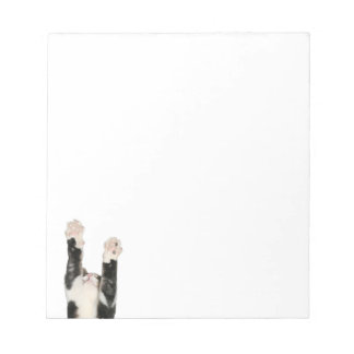 Playful kitty cat notepad