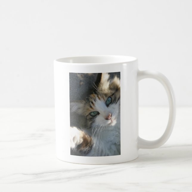 Playful Kitty Coffee Mug (Right)