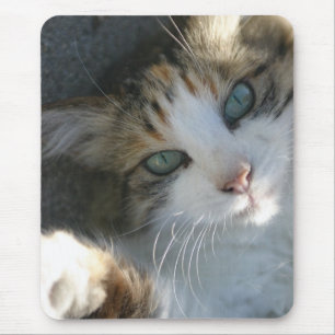 Playful Kitty Mouse Pad