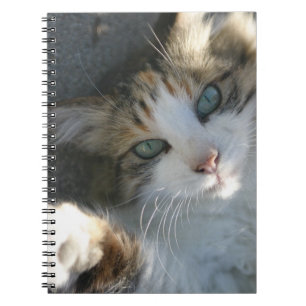 Playful Kitty Notebook