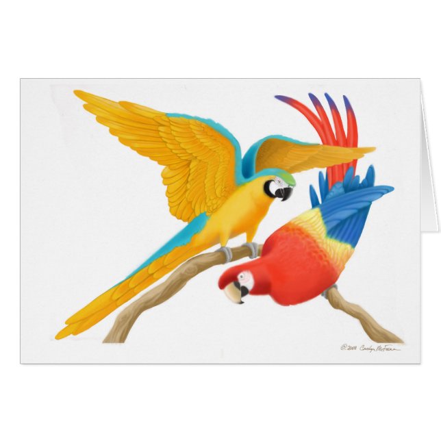 Playful Macaws Card (Front Horizontal)