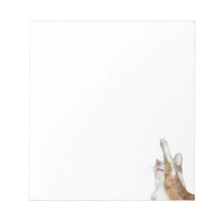 Playful orange and white tabby notepad