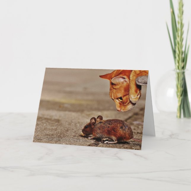 Playful Orange Cat with Mouse Blank Greeting Card (Front)