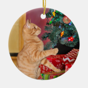 Playful Orange Tabby Christmas Ceramic Ornament