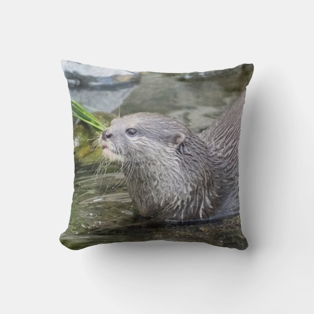 Playful Otter Designer Cushion (Front)