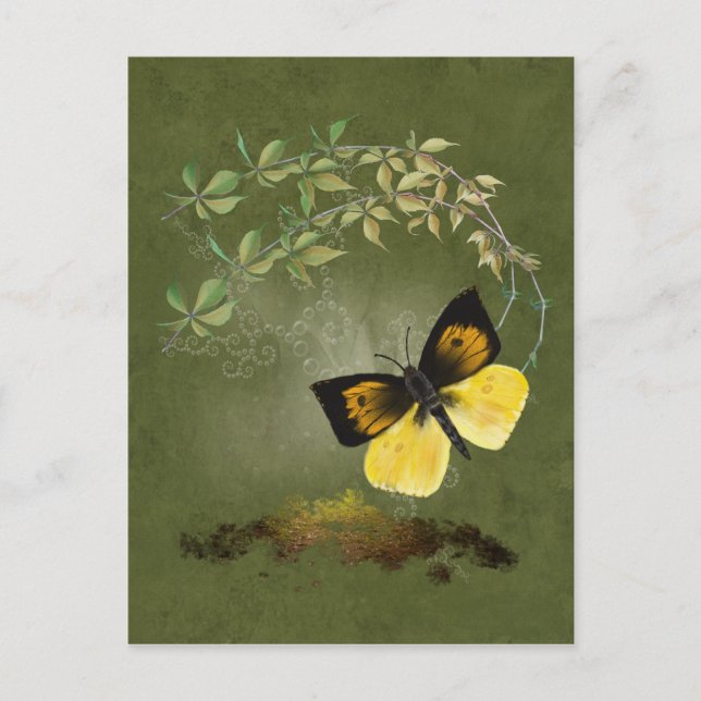 Playful Painted Butterfly- Postcard (Front)